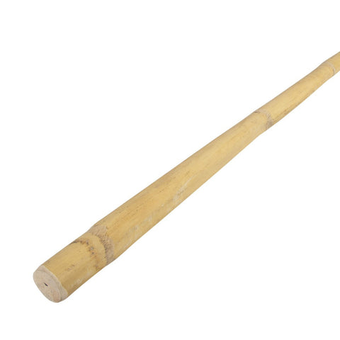 40652 JO. MANILA CANE