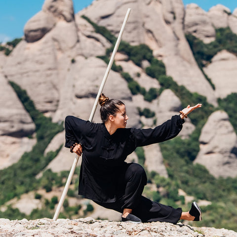 WU SHU GUN