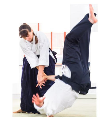 Aikido &amp; Hapkido