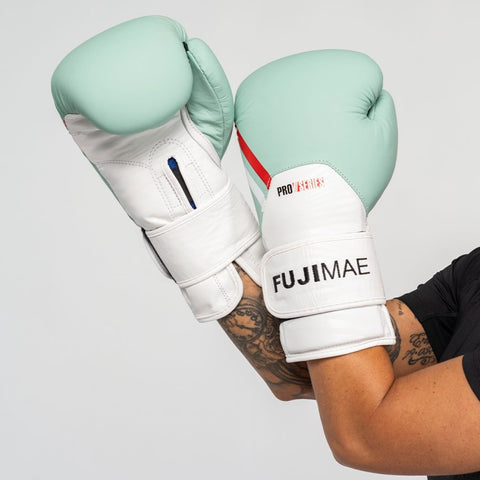 21332 PROSERIES LEATHER BOXING GLOVES 2.0